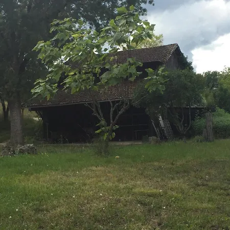Carreron Gites Chalet Gondrin